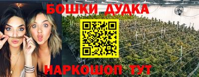 крисы Ливны