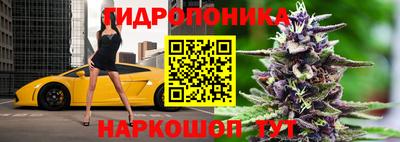 крисы Ливны