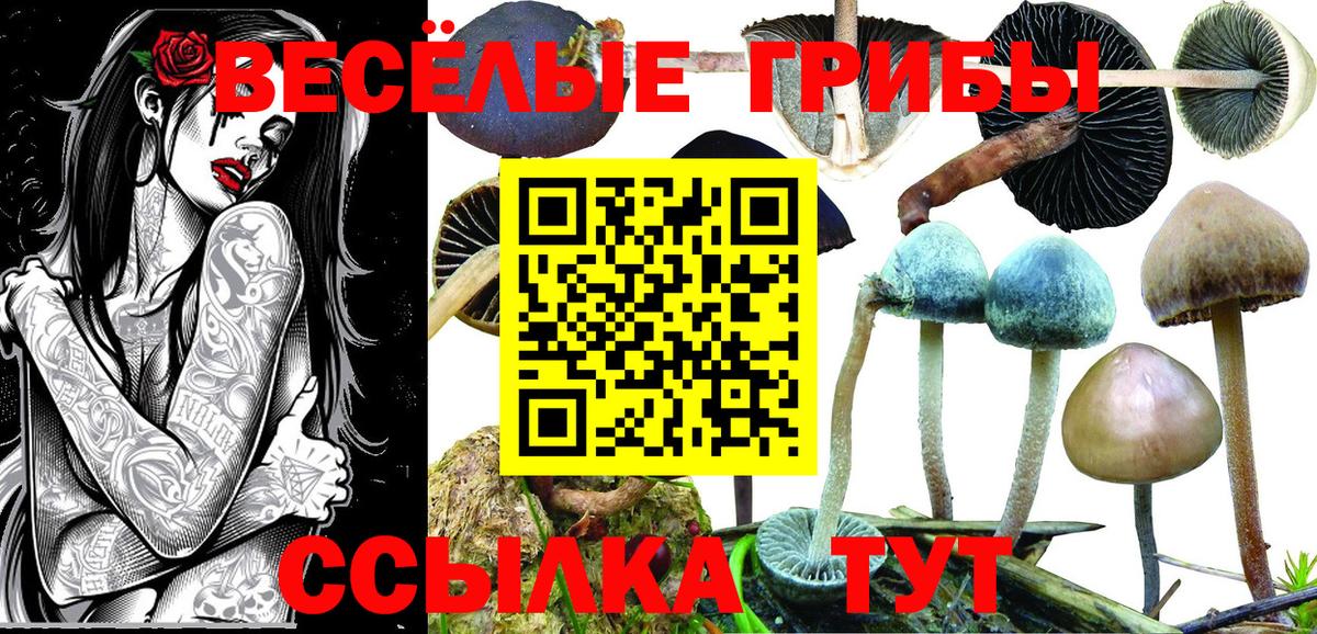 наркошоп  Галлюциногенные грибы Magic Shrooms  Вход с VPN  Галлюциногенные грибы мухоморы  Сургут 